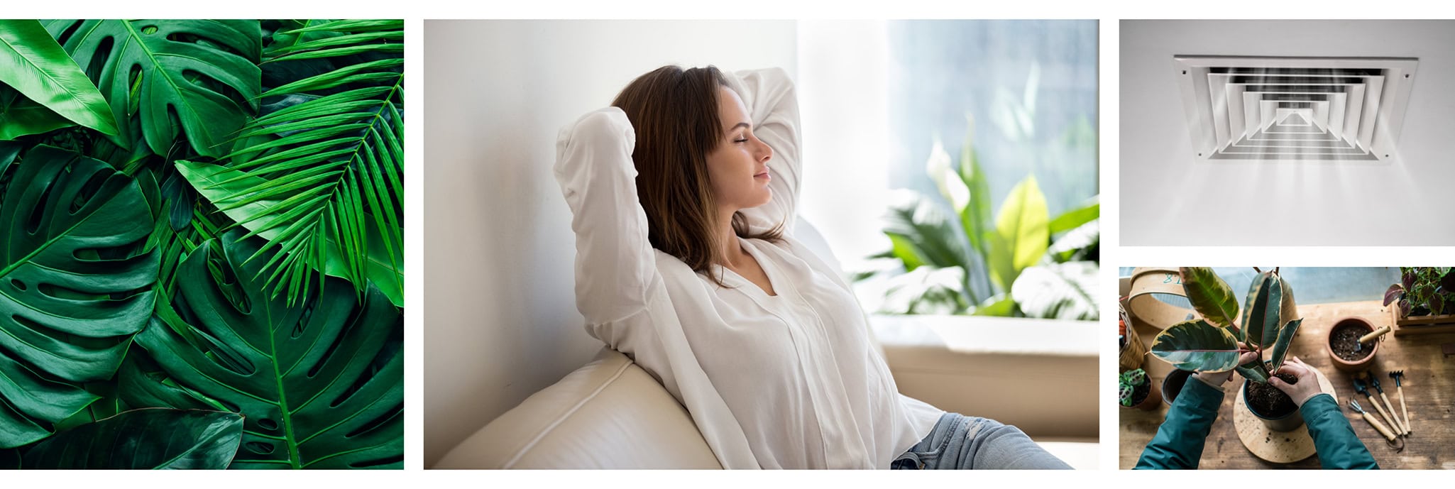 Female homeowner enjoying her home's indoor air quality, surrounded by plants and proper ventilation.